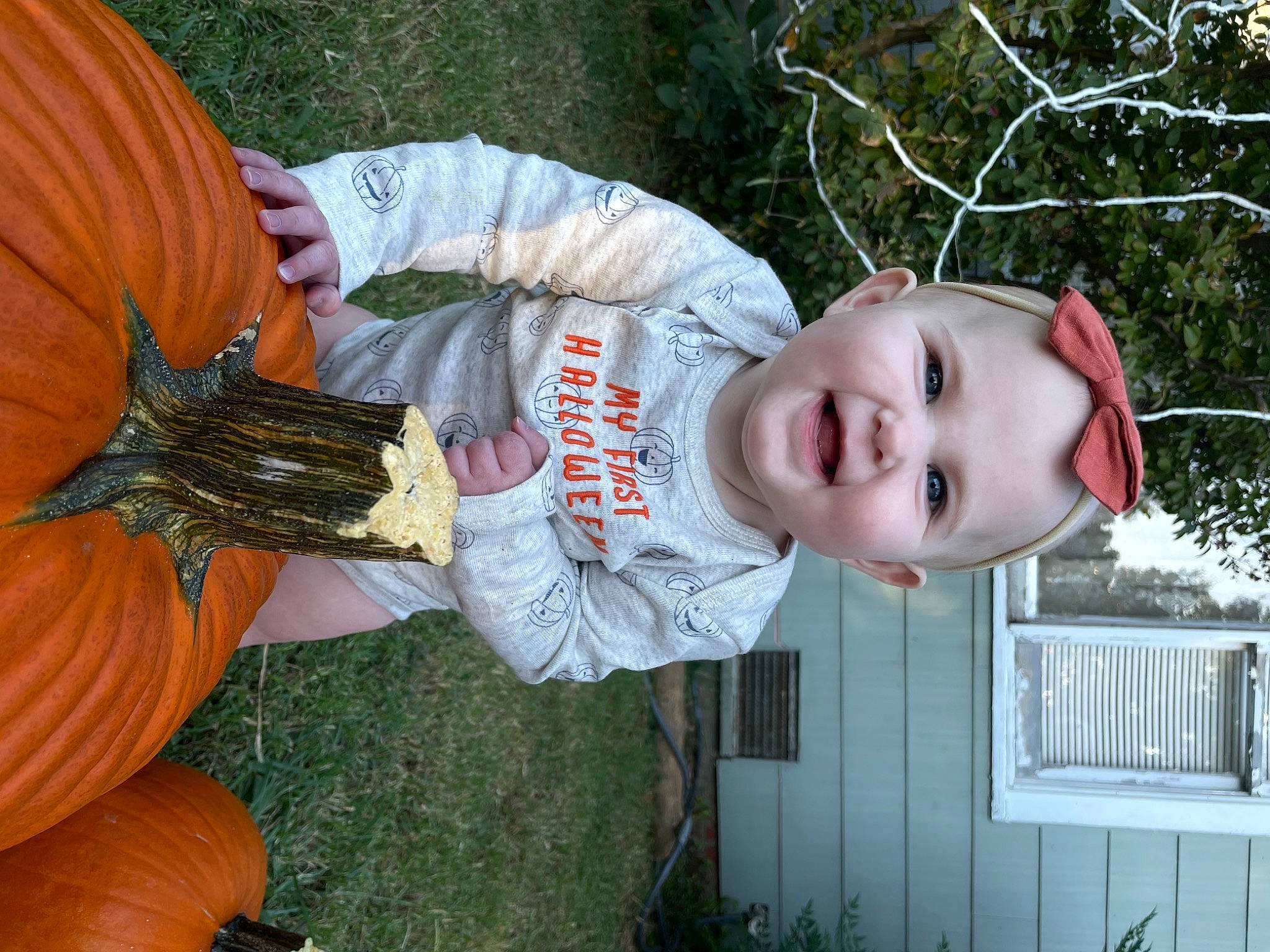 Lyra is registered to the contest to win money with this photo: baby, baby_toddler_clothing, botany, calabaza, child, cucurbita, fruit, gourd, grass, hat, joy, local_food, mouth, natural_foods, person, plant, pumpkin, squash, toddler, tree