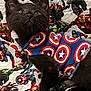black_cat, kitten, sweater, captain_america, marvel, superhero, blanket, iron_man, hulk, thor, black_panther, red_hair, costume, indoor, cute, pet, animal, feline, patterned, colorful