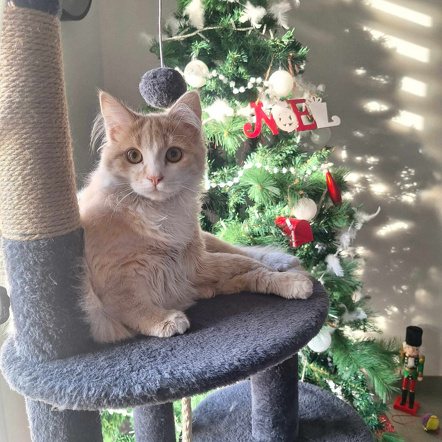 Mimi Chat