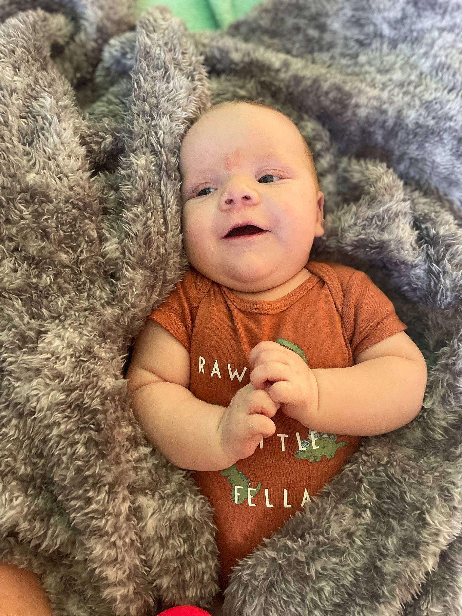 Henley joined the competition — help win amazing prizes! baby, baby_toddler_clothing, child, fur, gesture, grass, happy, landscape, mammal, nose, people_in_nature, person, plant, sitting, skin, smile, toddler, toy, tree, vertebrate