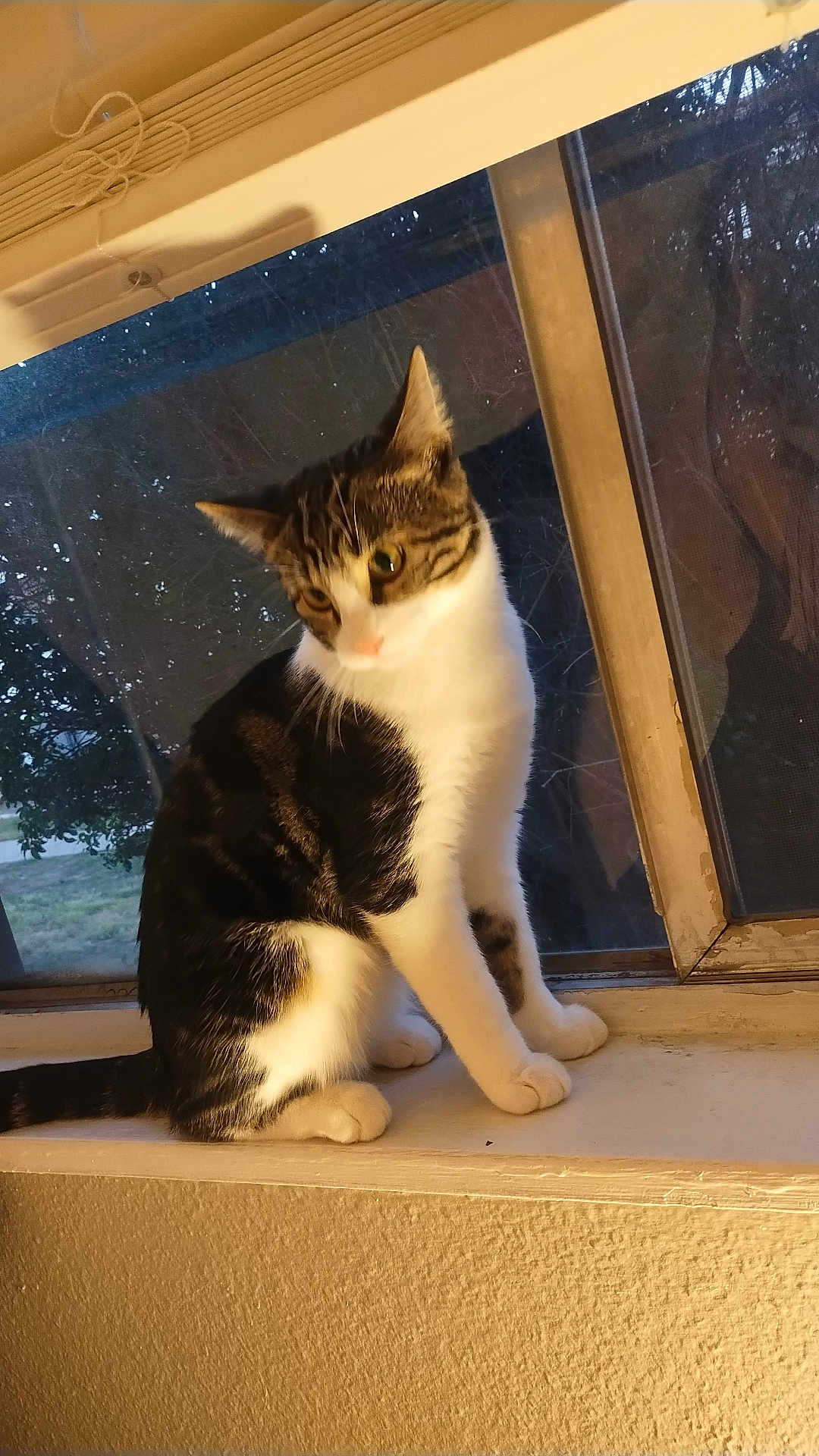 Chloe