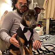 Moka a rejoint le concours — aidez-le/la à gagner de superbes lots ! dog, tuxedo, person, curly_hair, couch, blanket, indoor, lamp, window, clothing, hand, furniture, pet, black_dog, brown_dog, smiling_person, cozy, living_room, seated, cute