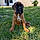 Butkus