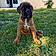 Butkus