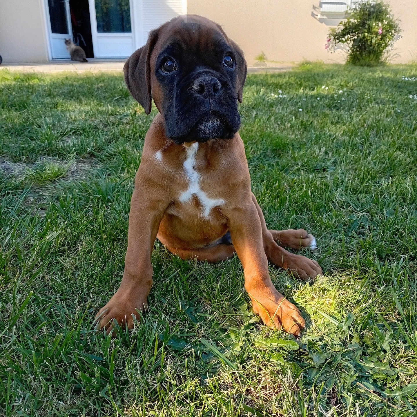Butkus