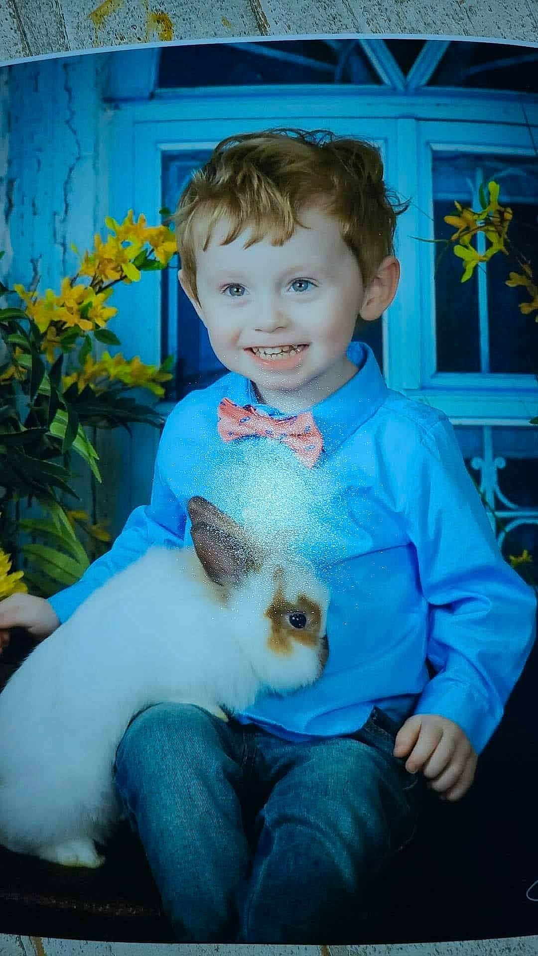 Hayes is registered to the contest to win money with this photo: azure, baby_toddler_clothing, blue, cat, child, clothing, companion_dog, electric_blue, fawn, felidae, happy, iris, jeans, joy, mammal, person, plant, small_to_medium_sized_cats, smile, toddler