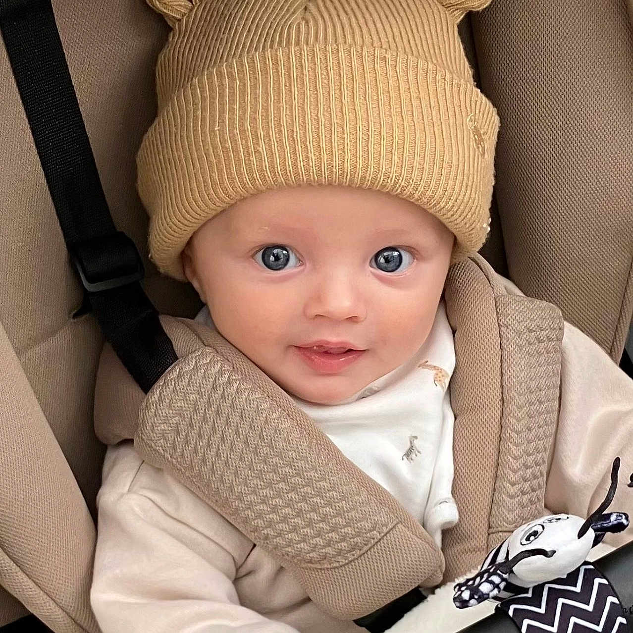 Jude joined the competition — help win amazing prizes! adorable, baby, baby_toy, beige, blue_eyes, car_seat, child, childrenswear, closeup, clothing, cute, face, hat, infant, portrait, seatbelt, smile, stroller, toy, warm