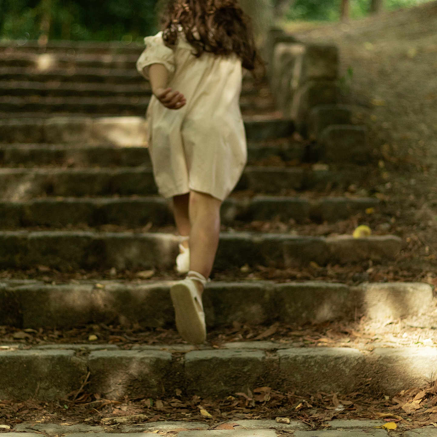 Zineb a rejoint le concours — aidez-le/la à gagner de superbes lots ! adventure, back_view, child, curly_hair, daytime, dress, forest, ground, leaves, motion, nature, outdoor, pathway, person, shadow, stone_steps, sunlight, tree, walking, young