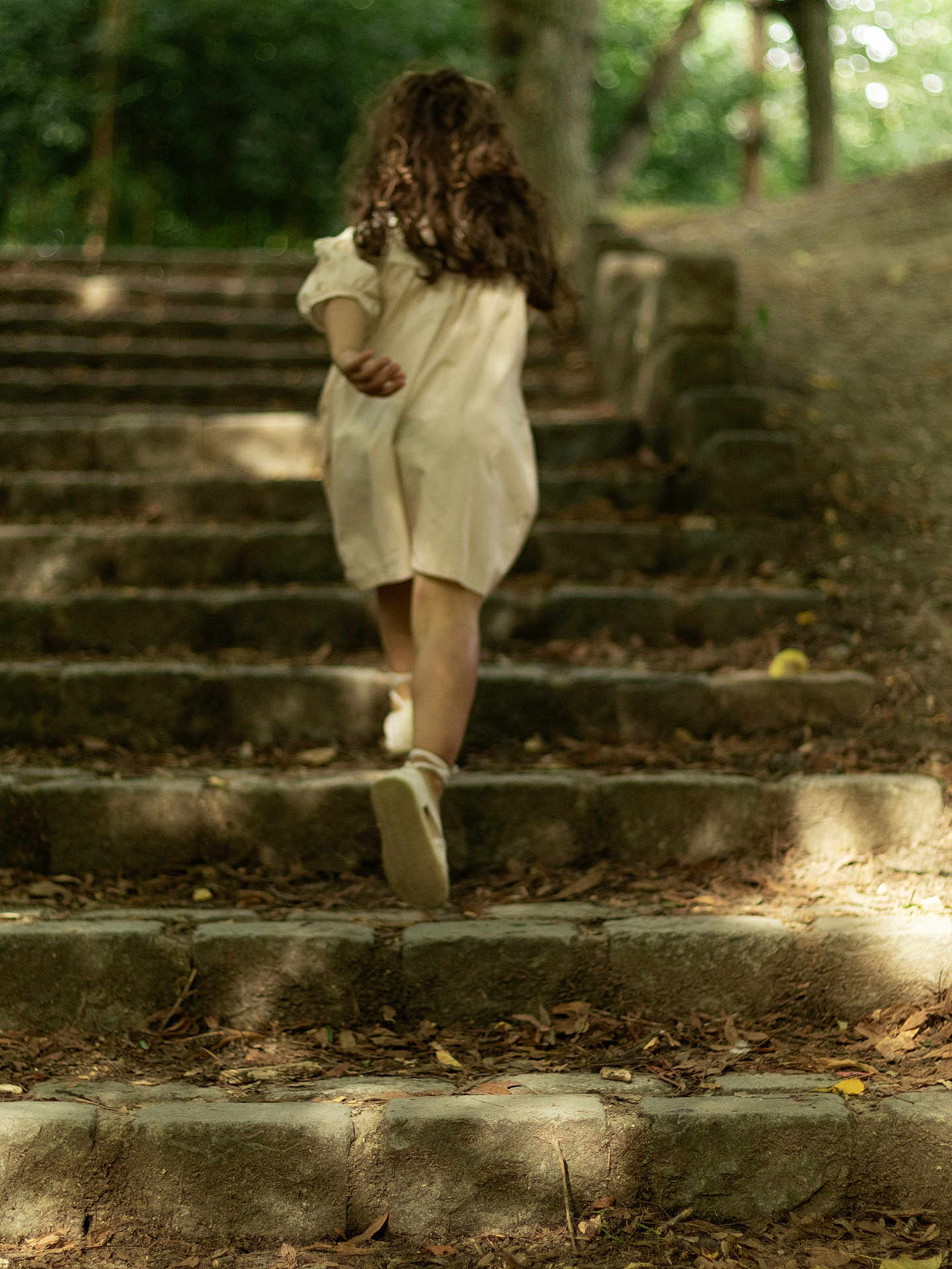 Zineb a rejoint le concours — aidez-le/la à gagner de superbes lots ! child, curly_hair, dress, stone_steps, forest, outdoor, nature, walking, back_view, sunlight, shadow, leaves, pathway, adventure, young, person, motion, tree, ground, daytime