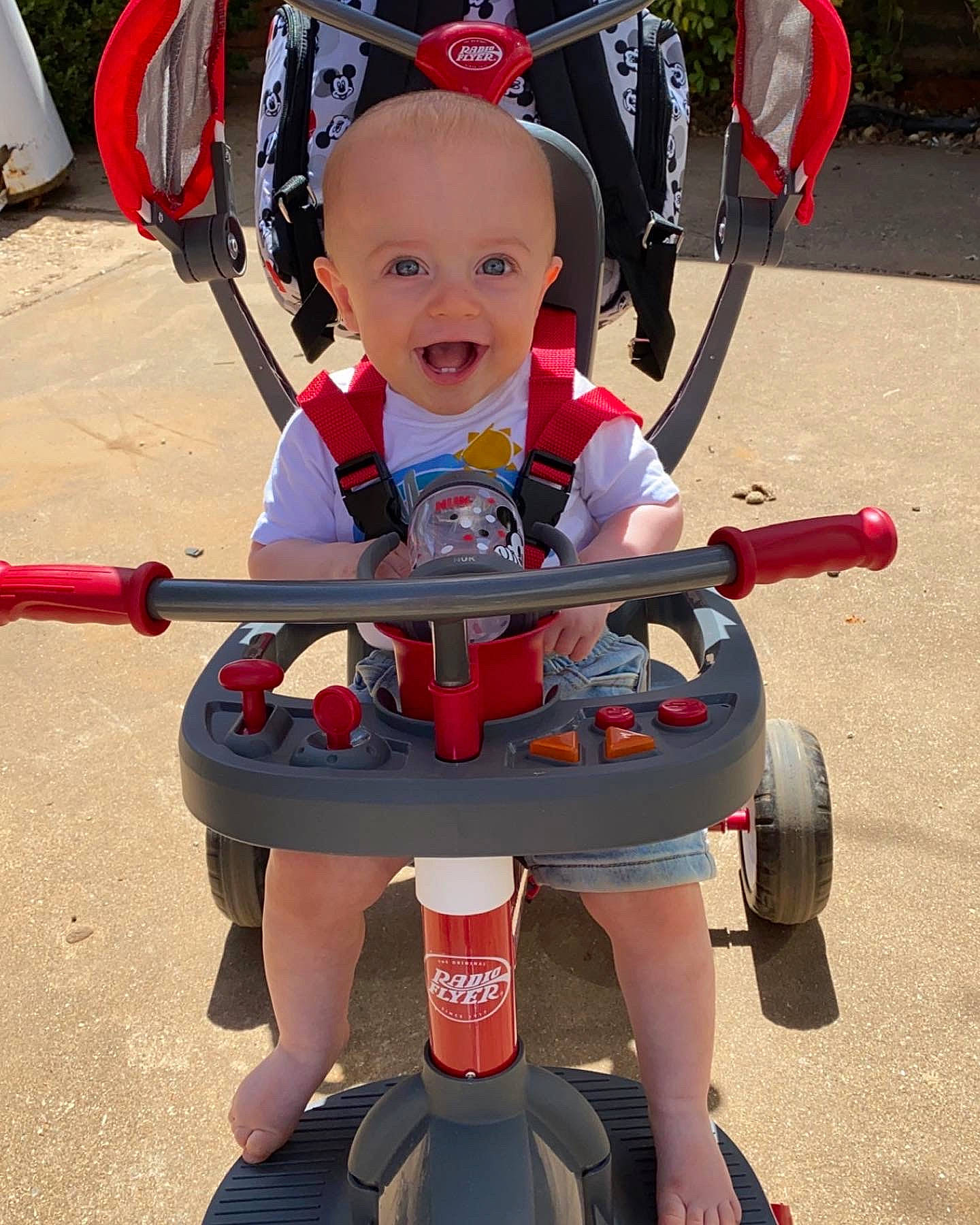 Creed joined the competition — help win amazing prizes! baby, baby_carriage, bicycle_accessory, bicycle_frame, bicycle_helmet, bicycles_equipment_and_supplies, fun, hat, helmet, leisure, person, recreation, red, shorts, smile, sneakers, tire, toddler, toy, wheel