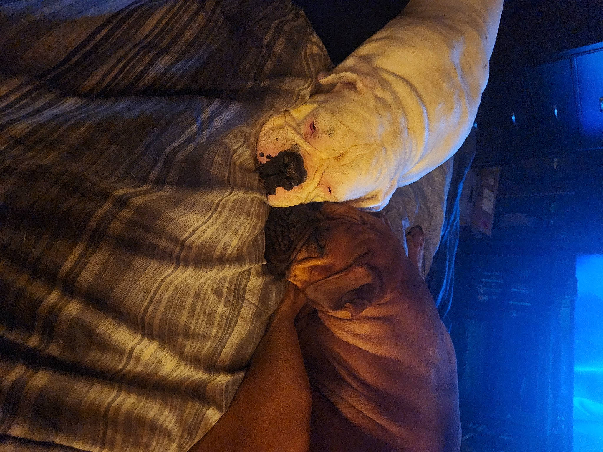 Bennita joined the competition — help win amazing prizes! art, darkness, elbow, electric_blue, event, flesh, fun, glove, heat, human_leg, knee, monument, night, pattern, room, sculpture, sleeve, water, wood, wrist