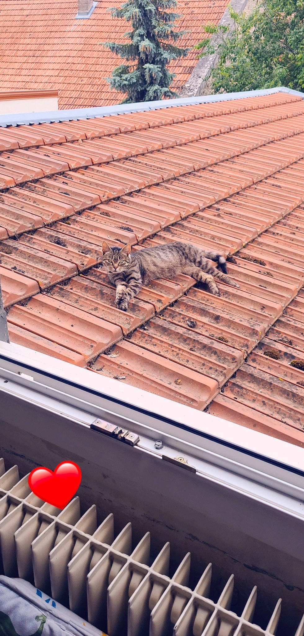 Gaby participe au concours pour gagner de l'argent avec cette photo : architecture, beam, composite_material, daytime, floor, flooring, gas, hardwood, line, lumber, material_property, pattern, plank, plywood, property, rectangle, roof, window, wood, wood_stain