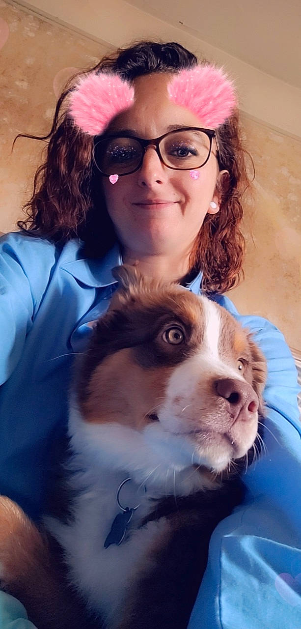 Tanio a rejoint le concours — aidez-le/la à gagner de superbes lots ! carnivore, companion_dog, cool, dog, dog_breed, eyewear, fawn, fun, fur, glasses, goggles, hair, happy, personal_protective_equipment, skin, snout, sporting_group, sunglasses, vision_care, white