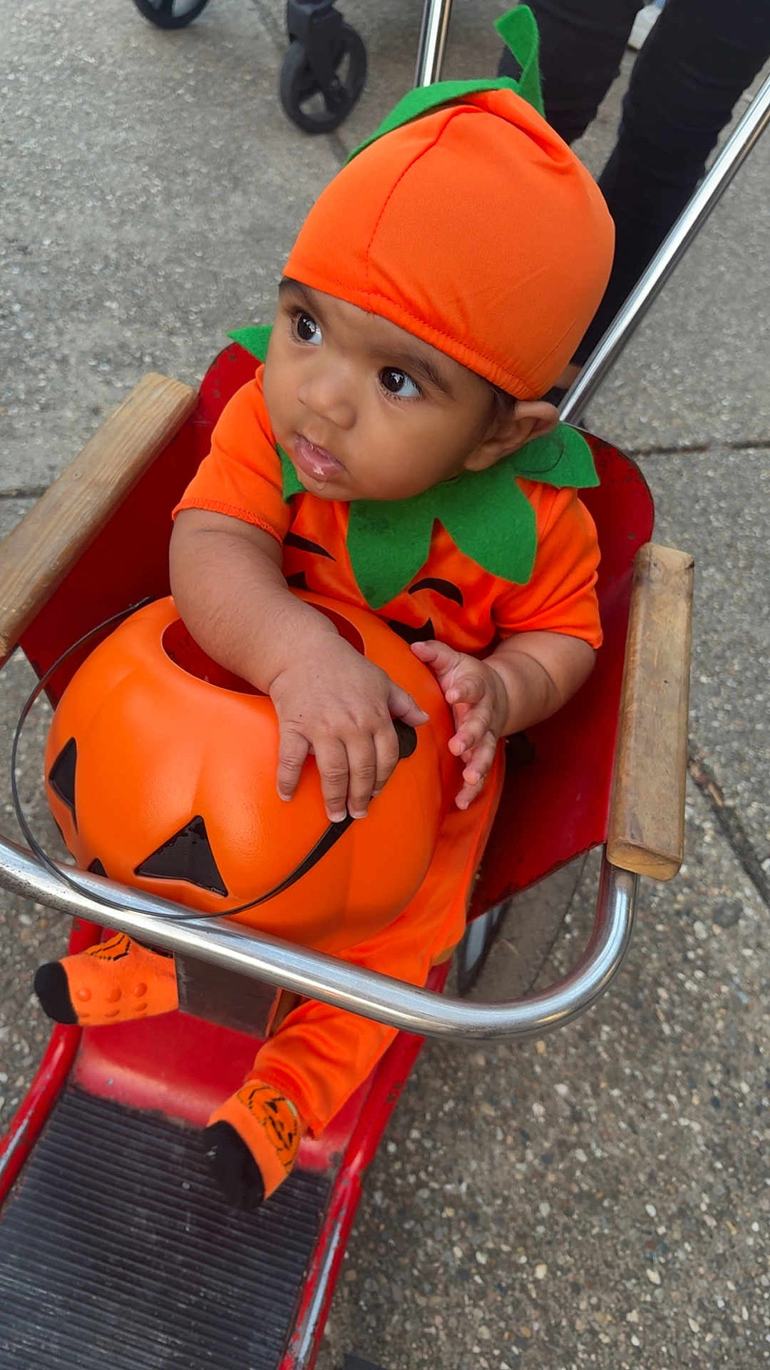 Carlos is registered to the contest to win money with this photo: baby, pumpkin_costume, orange_clothing, jack_o_lantern, stroller, child, halloween, outdoor, curious, drool, red_stroller, socks, green_leaf_collar, costume_hat, cute, person, infant, seasonal, holiday, festive