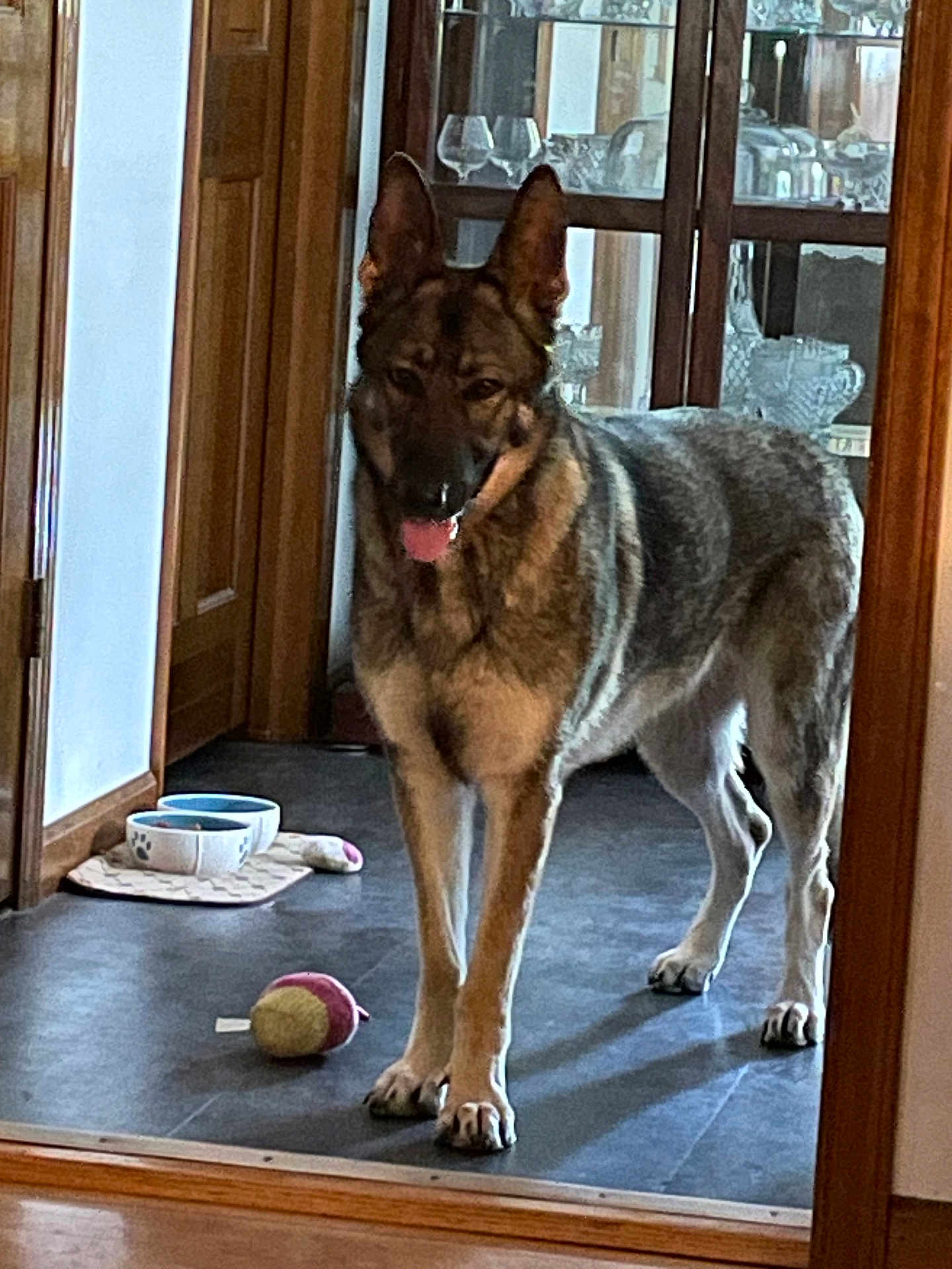 Sable