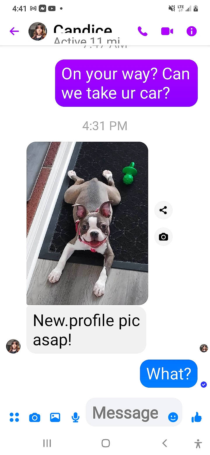 Mitzie is registered to the contest to win money with this photo: advertising, animation, baby_products, brand, companion_dog, fictional_character, font, magenta, photo_caption, screenshot, shorts, stuffed_toy, working_animal