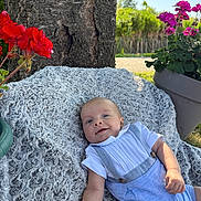 Mylan a rejoint le concours — aidez-le/la à gagner de superbes lots ! baby, infant, smiling, outdoor, tree, flower, red_flower, pink_flower, blanket, greenery, sunlight, garden, nature, pot, clothing, cute, relaxed, portrait, child, summer