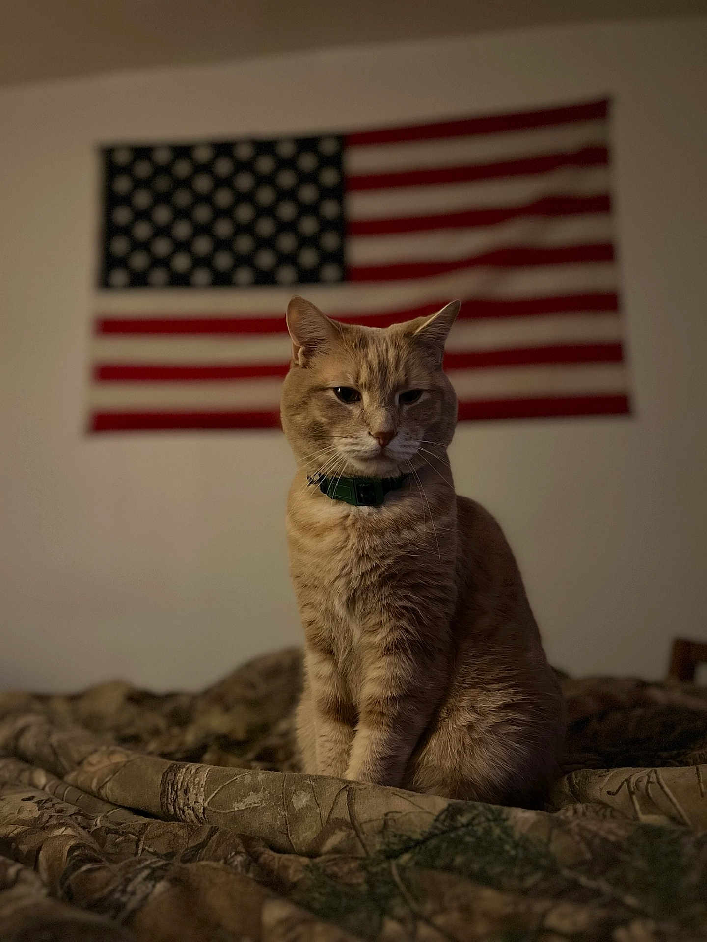 Milo