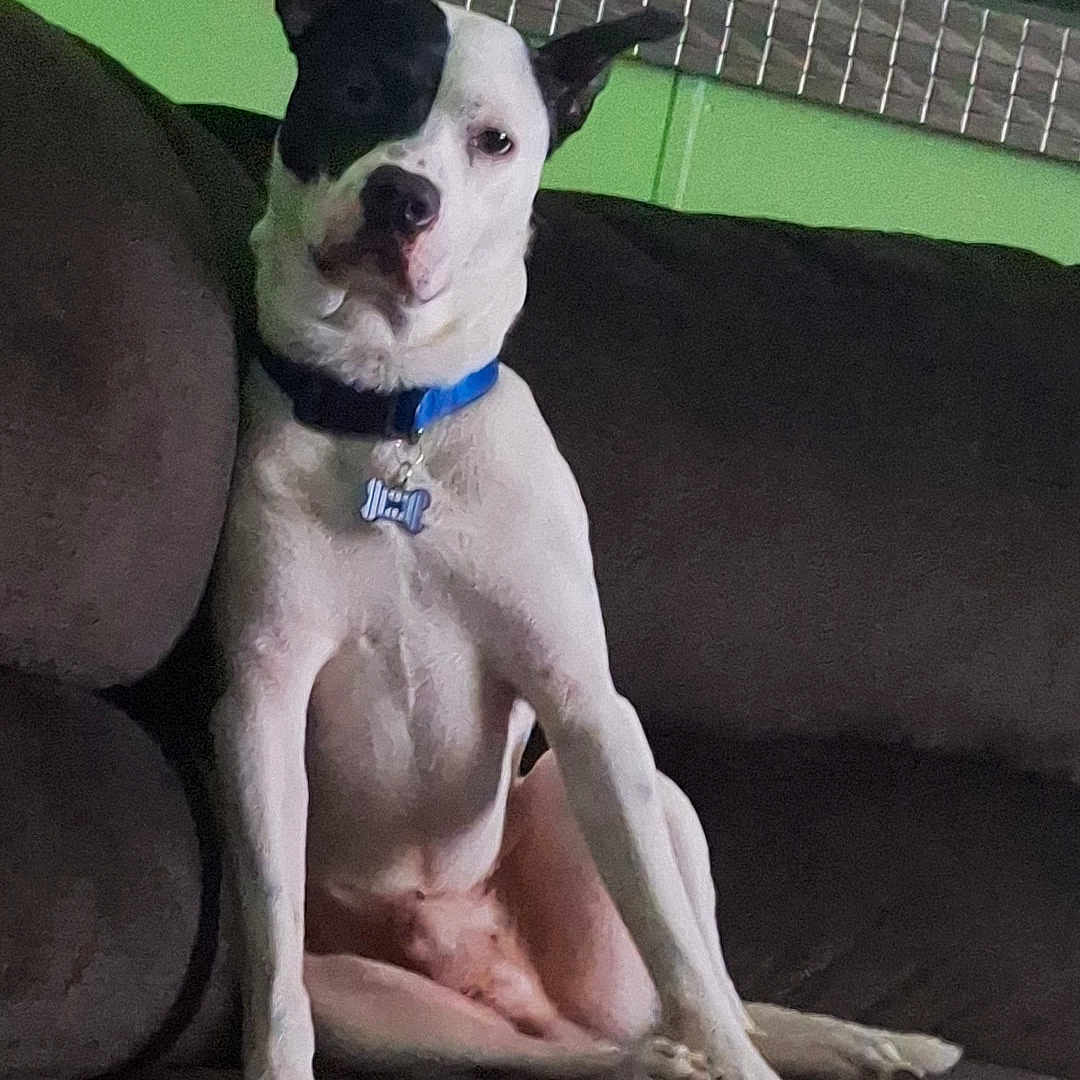 Jack