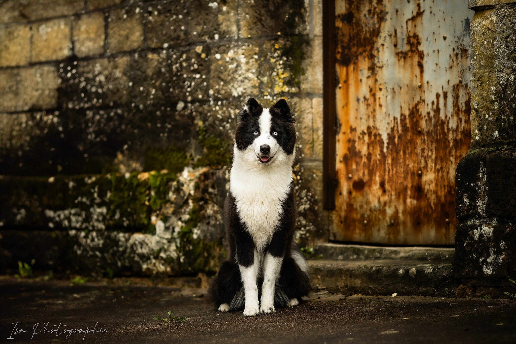 Skoll
