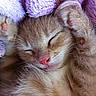 ROXY participe au concours pour gagner de l'argent avec cette photo :