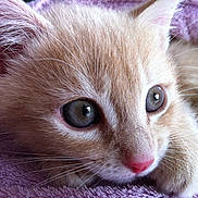 ROXY participe au concours pour gagner de l'argent avec cette photo :