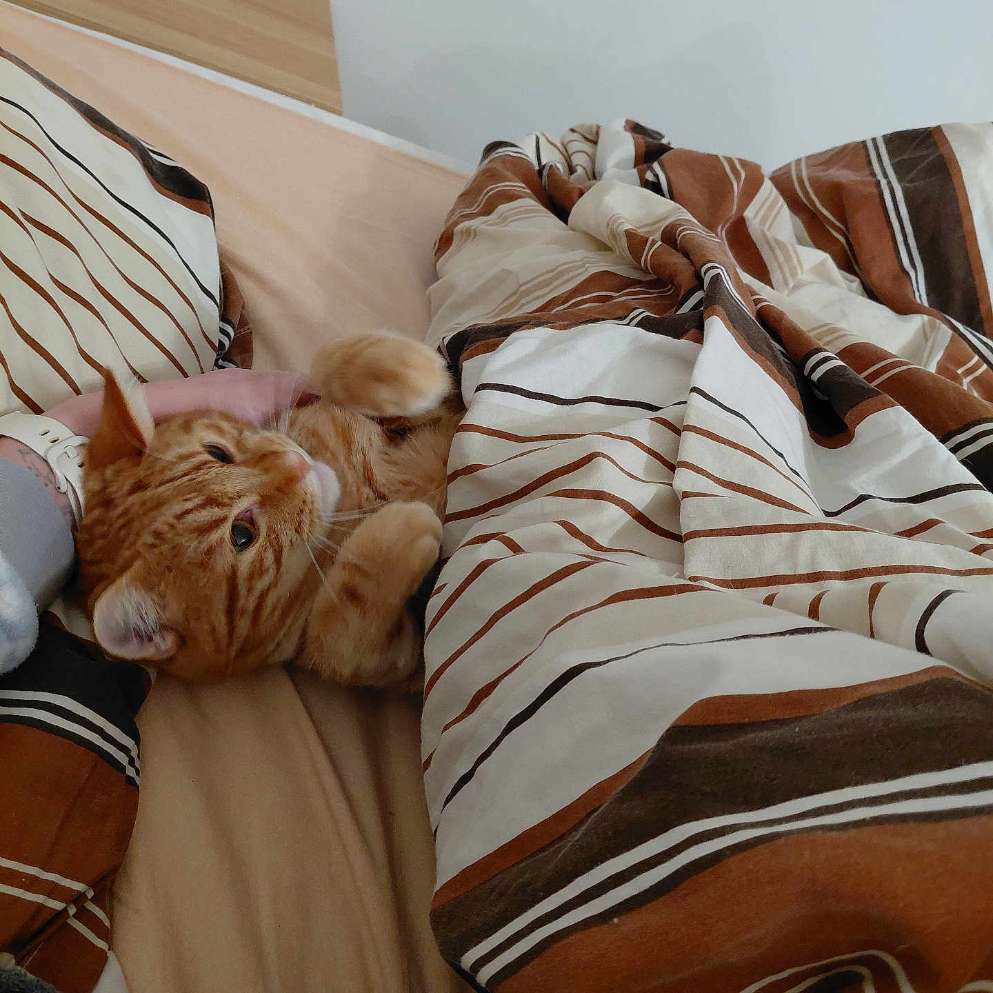 Simba