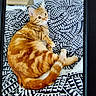 cat, orange_tabby, striped_fur, pet, animal, feline, bed, blanket, patterned_blanket, black_and_white, resting, indoor, fur, cute, looking_back, whiskers, ears, tail, domestic_cat, comfortable