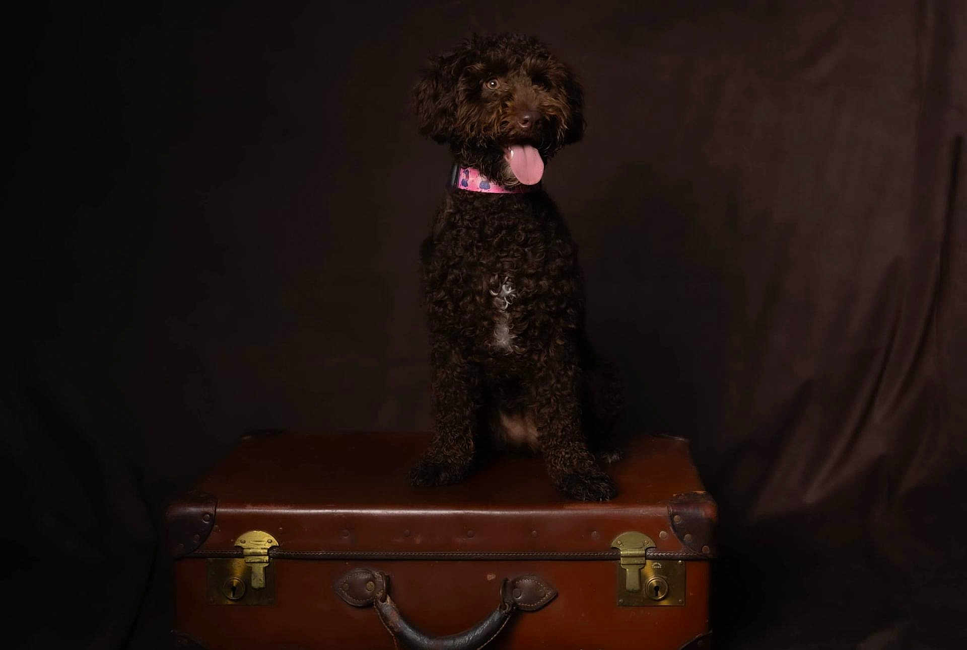 Coco