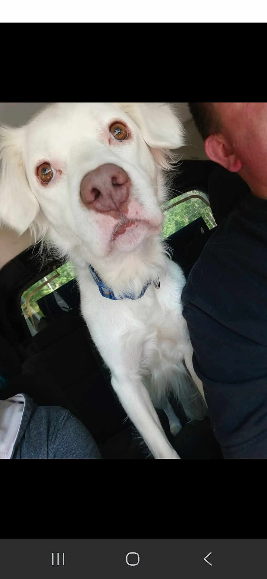 Yuki