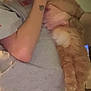 Fuzzy Butt joined the competition — help win amazing prizes! person, cat, orange_cat, fluffy_cat, holding, tattoo, grey_shirt, indoor, dim_lighting, blurred, large_cat, pet, animal, feline, living_room, television, human_arm, casual_clothing, domestic_animal, glowing_eyes