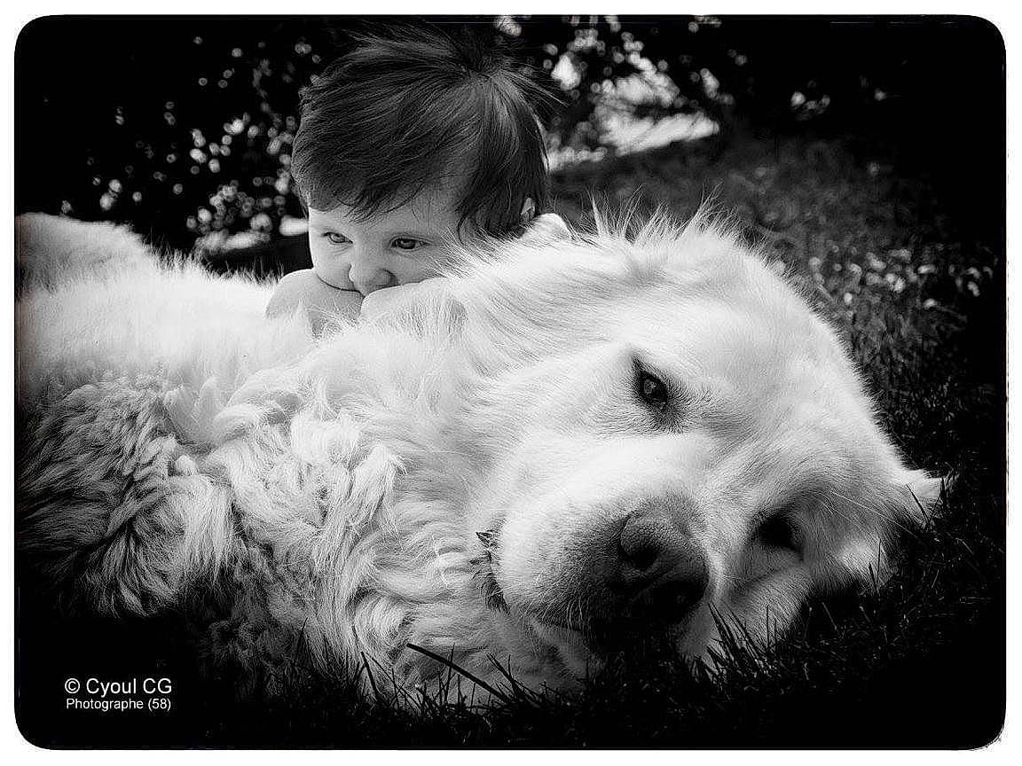 Booba a rejoint le concours — aidez-le/la à gagner de superbes lots ! adaptation, beauty, black_and_white, carnivore, companion_dog, dog, dog_breed, electronic_device, gesture, grass, happy, mammal, monochrome, monochrome_photography, photo_caption, rectangle, smile, snapshot, style, vertebrate