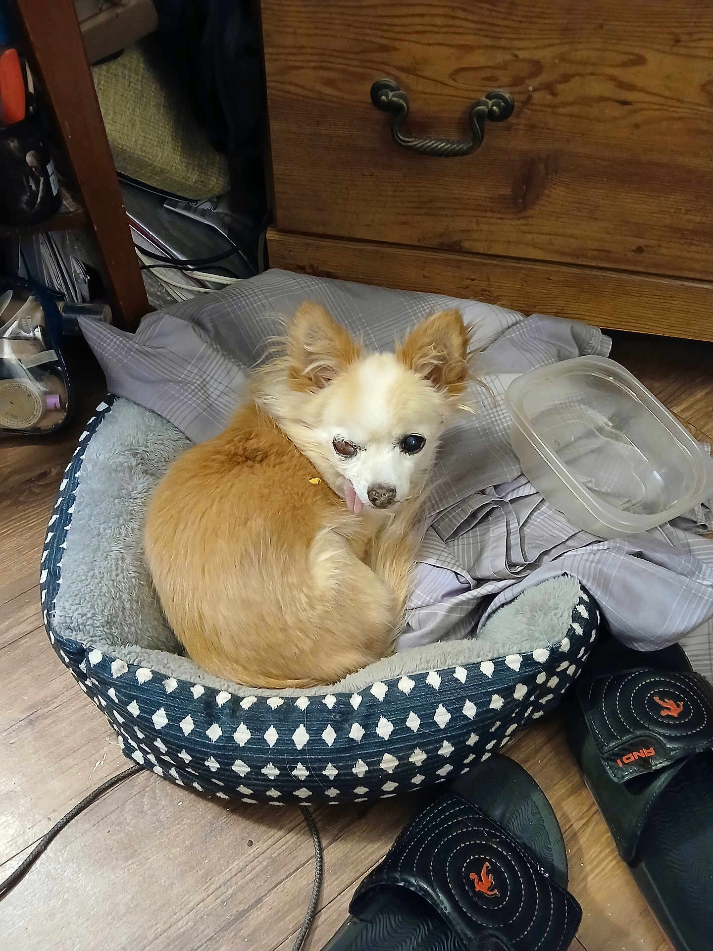 Paco