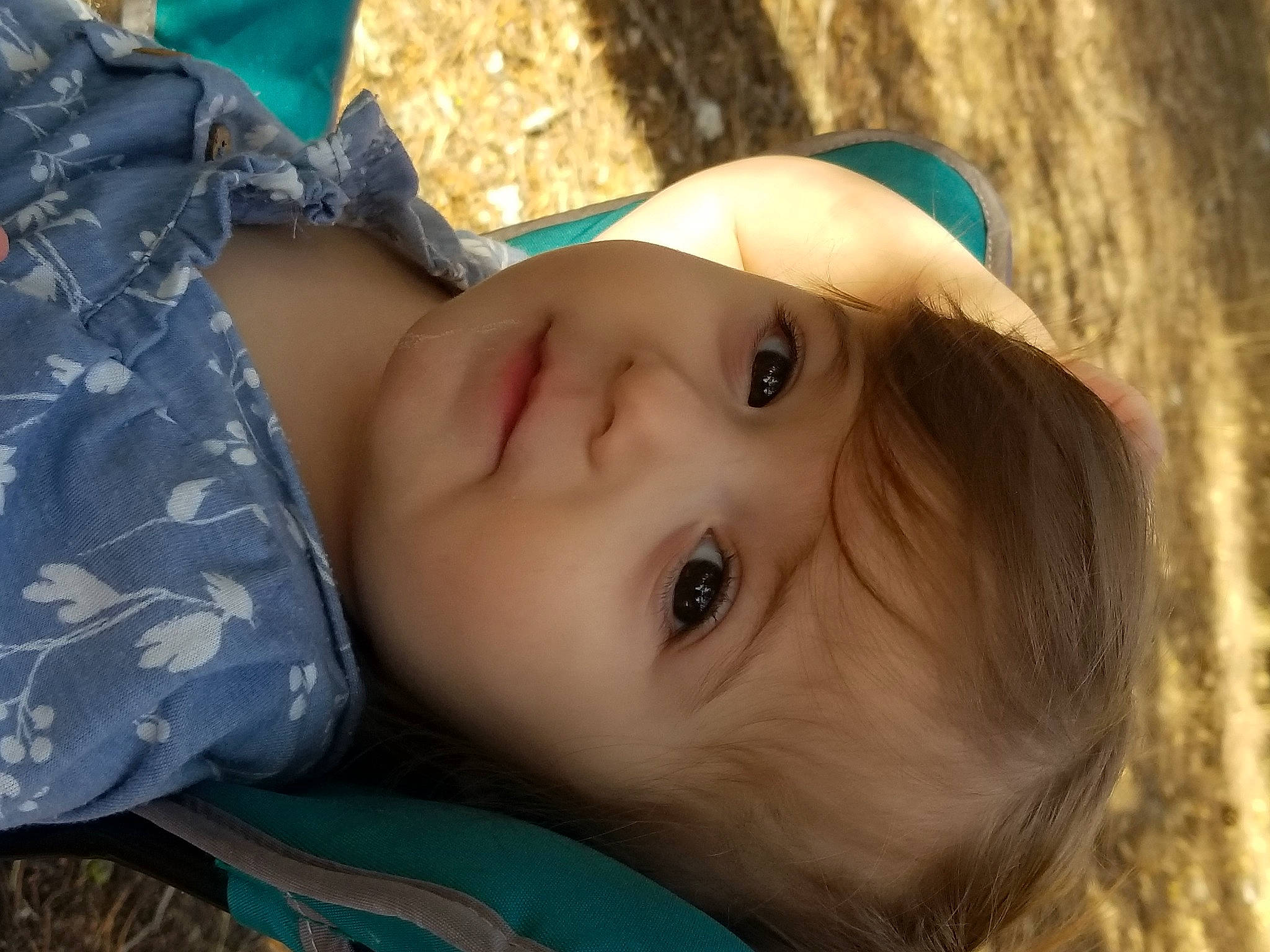 Lily is registered to the contest to win money with this photo: baby, cheek, child, close_up, eye, eyelash, fur, grass, happy, lip, nose, people_in_nature, person, plant, portrait_photography, skin, sunlight, toddler, tree, winter