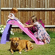 Chunk is registered to the contest to win money with this photo: child, children, dog, slide, playground, outdoor, grass, fence, flower, sunlight, garden, pet, summer, play, fun, backyard, toy, casual, happy, young
