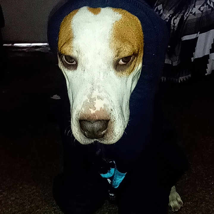 Molly