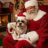 Charlie joined the competition — help win amazing prizes! beard, celebration, christmas, christmas_tree, cozy, decorations, dog, festive, fireplace, glasses, hat, holiday, indoor, pet, portrait, red_chair, red_suit, santa_claus, stockings, white_fur