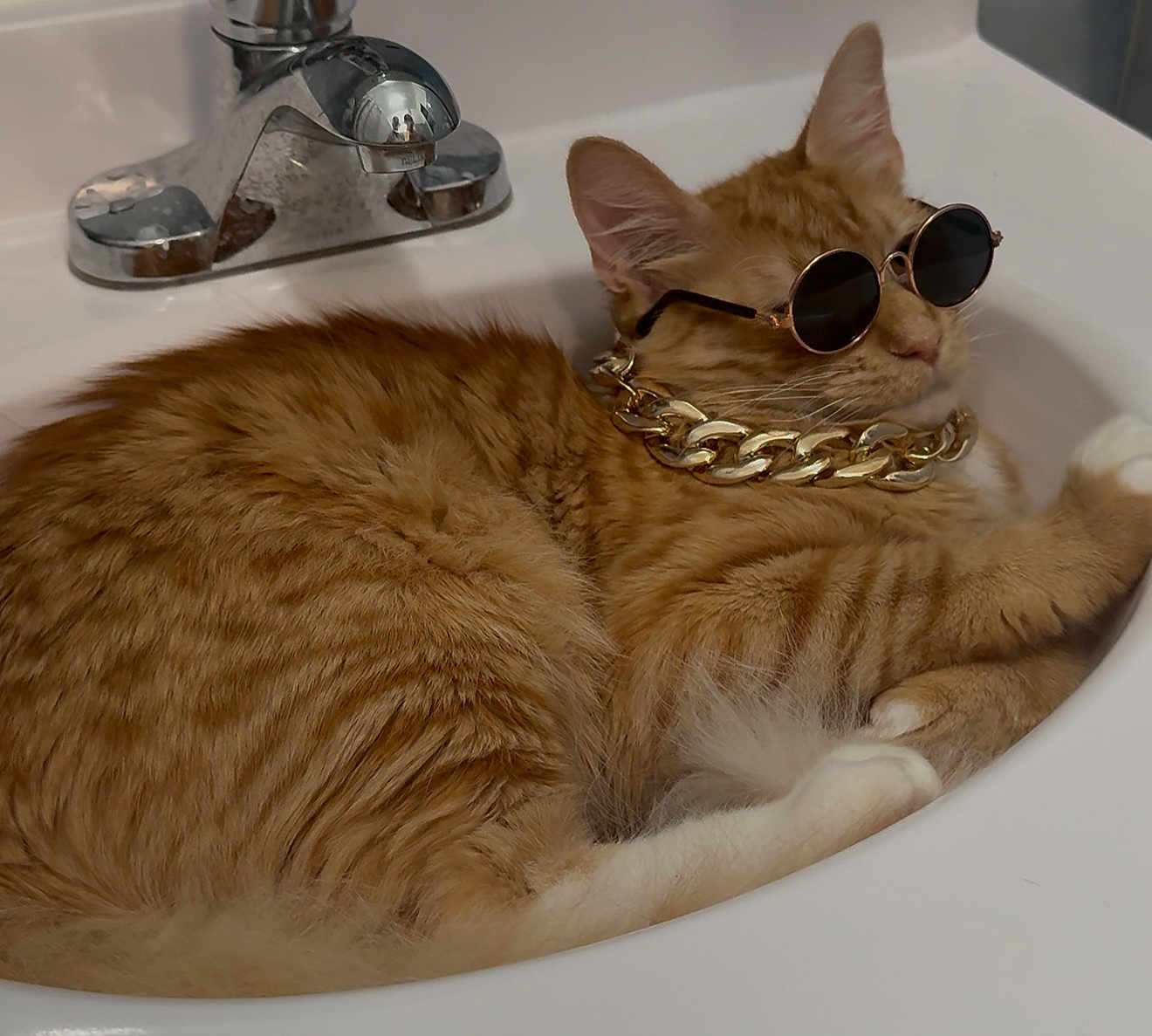 Kiro joined the competition — help win amazing prizes! accessories, animal, bathroom, cat, chrome_faucet, cute, domestic_cat, ears, fur, gold_chain, indoor, orange_tabby, pet, portrait, relaxed, resting, sink, sunglasses, whiskers, white_sink