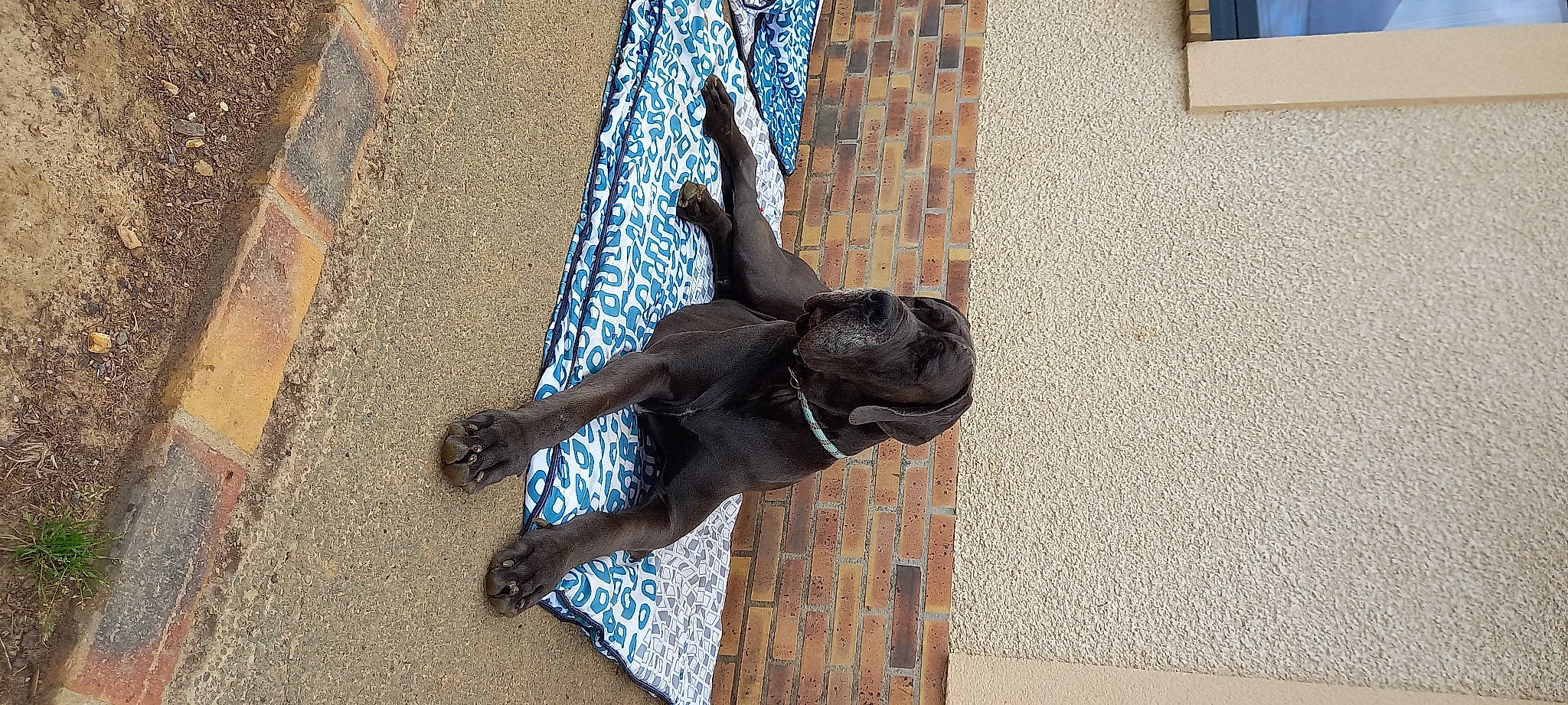 Utan a rejoint le concours — aidez-le/la à gagner de superbes lots ! art, brick, bronze_sculpture, building, concrete, door, electric_blue, facade, metal, monument, sculpture, shadow, snout, statue, tail, visual_arts, water, window, wood, working_animal