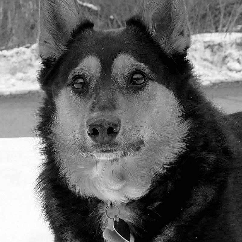 Izzy joined the competition — help win amazing prizes!