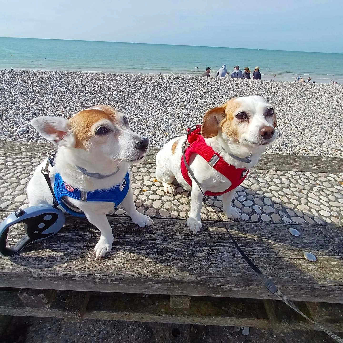 Geeny Et Lilou