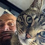 Ferdinand participe au concours pour gagner de l'argent avec cette photo : cat, tabby_cat, close_up, whiskers, green_eyes, face, beard, man, indoor, curious, pet, animal, portrait, expression, head, feline, human, friendship, domestic_animal, funny