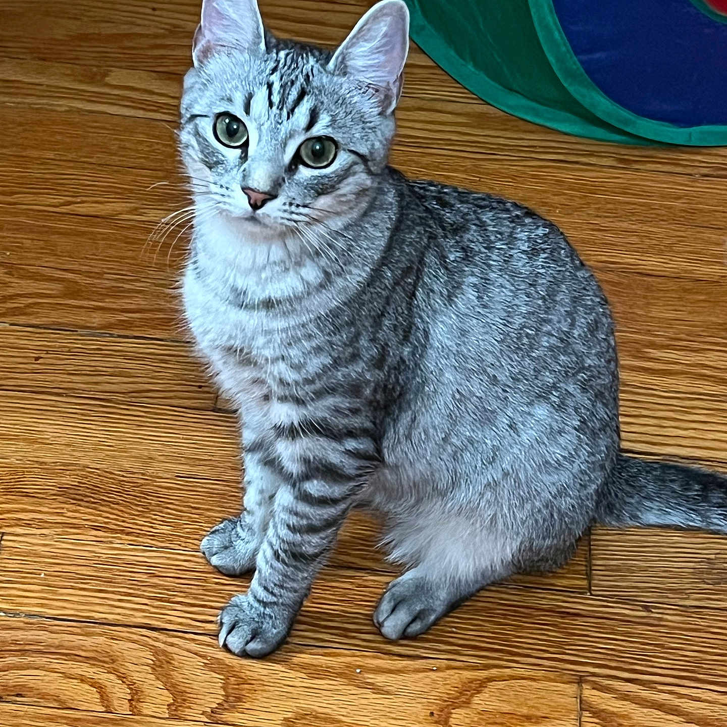 Ruby Leigh