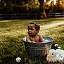 Kazrin is registered to the contest to win money with this photo: toddler, child, bucket, outdoor, grass, rubber_duck, balls, nature, sunlight, summer, cute, portrait, baby, playful, water_bath, metal_bucket, greenery, daylight, toy, bare_chest