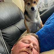 Kenzo is registered to the contest to win money with this photo: beard, casual, companion, couch, cozy, curious, curtains, dog, face, furniture, home, indoor, light, man, pet, pillow, portrait, relaxed, resting, shiba_inu
