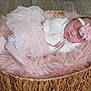 Scarlett joined the competition — help win amazing prizes! newborn, baby, sleeping, basket, pink, fluffy, headband, flower, tutu, white_clothing, cozy, cute, infant, floor, soft, portrait, peaceful, resting, closeup, indoors
