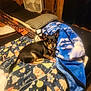 dog, blanket, bed, pillow, fan, wood_paneling, indoor, small_dog, black_dog, tan_dog, holiday_theme, cozy, resting, pet, canine, fabric, comfort, household_item, sleep_area, furniture