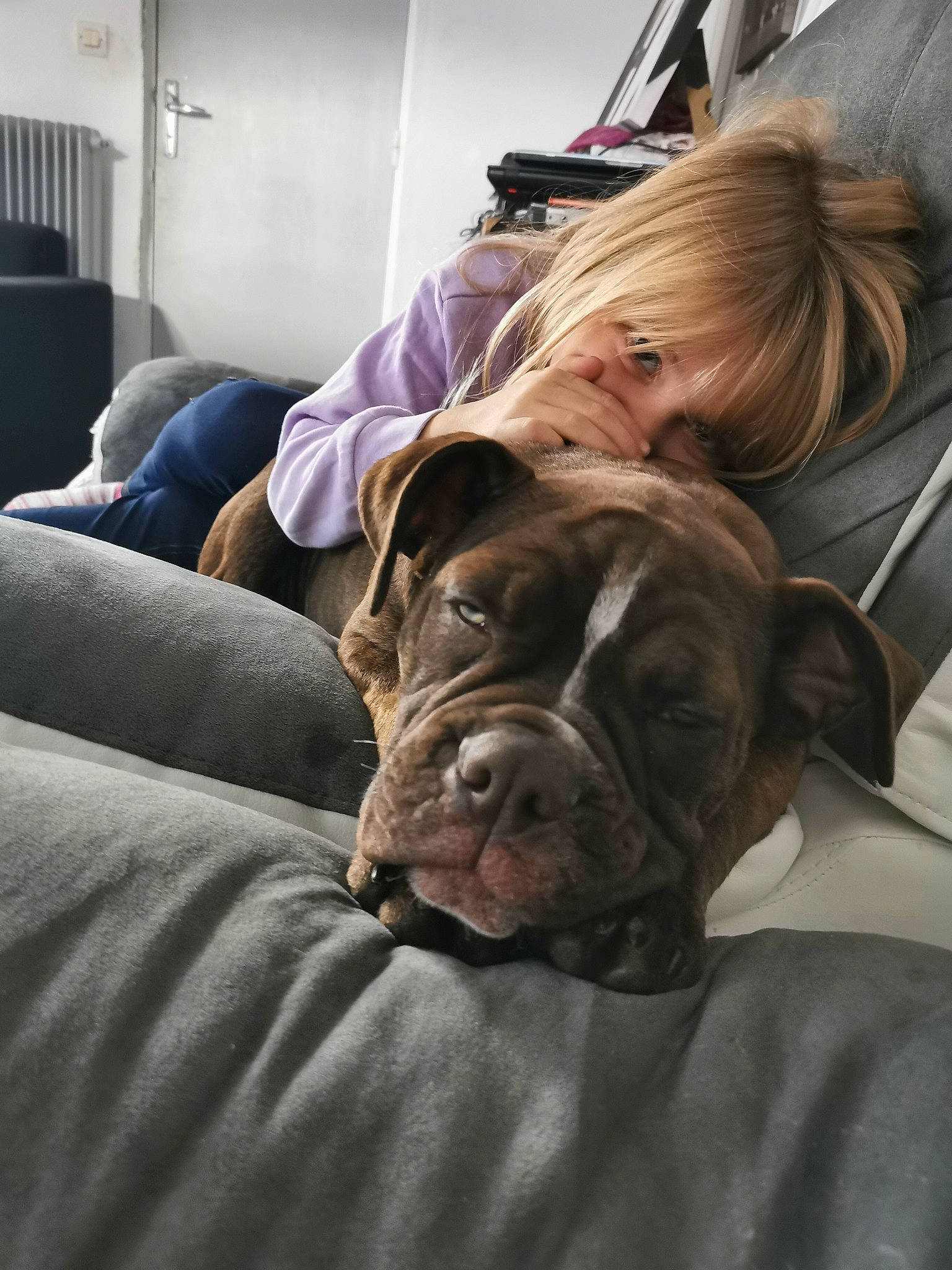 Sakura a rejoint le concours — aidez-le/la à gagner de superbes lots ! bullmastiff, canidae, carnivore, companion_dog, dog, dog_breed, dogue_de_bordeaux, fawn, guard_dog, korean_mastiff, mammal, nap, neapolitan_mastiff, non_sporting_group, olde_english_bulldogge, skin, snout, sporting_group, vertebrate, wrinkle