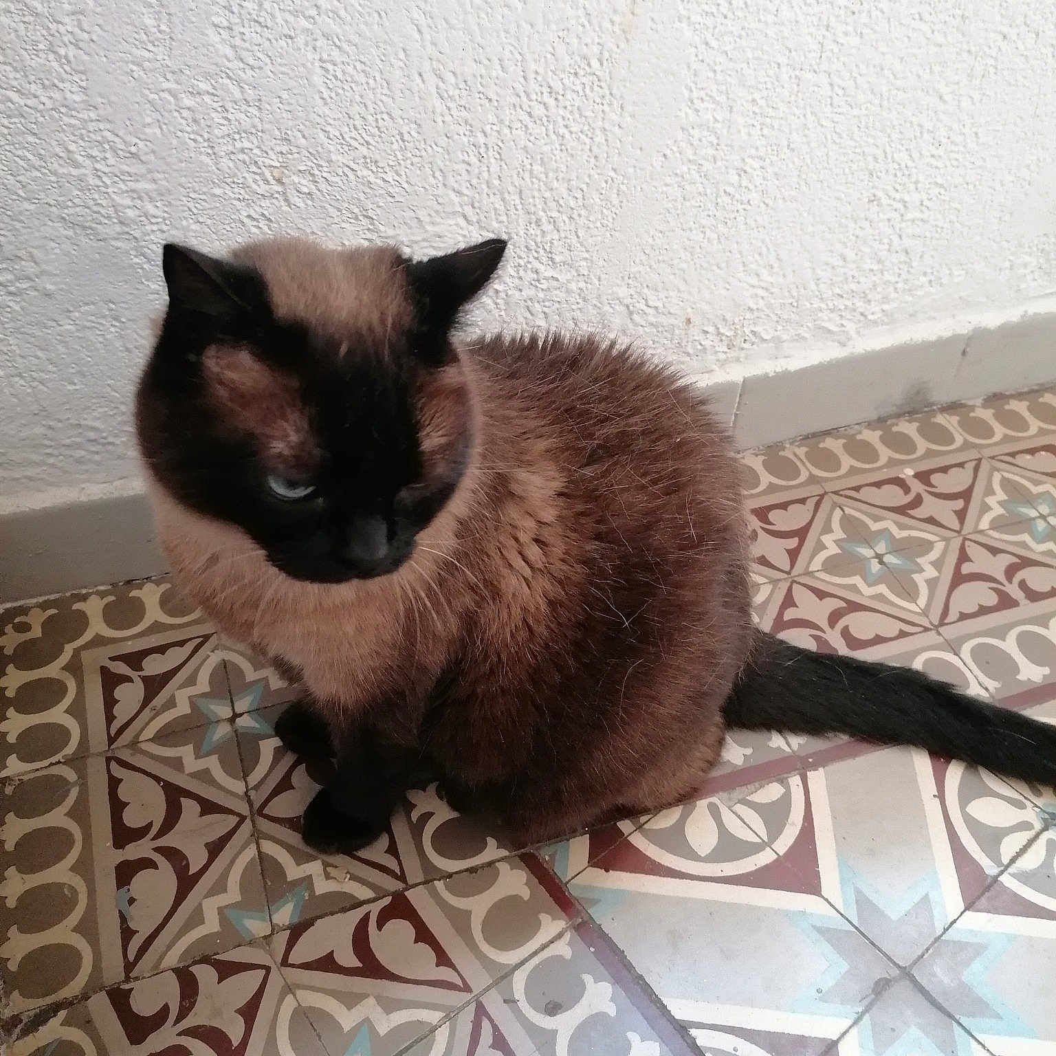 Banbi