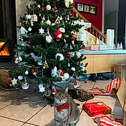 Taya participe au concours pour gagner de l'argent avec cette photo : cat, christmas_tree, red_bow_tie, ornaments, presents, wrapping_paper, fireplace, tile_floor, holiday_decor, indoor, furniture, stairs, wood, box, boots, decorations, festive, celebration, pet, home